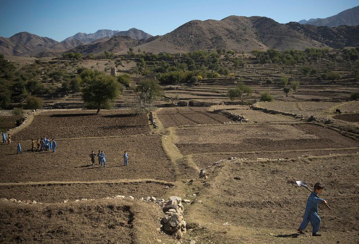 مزارع خشخاش افغانستان