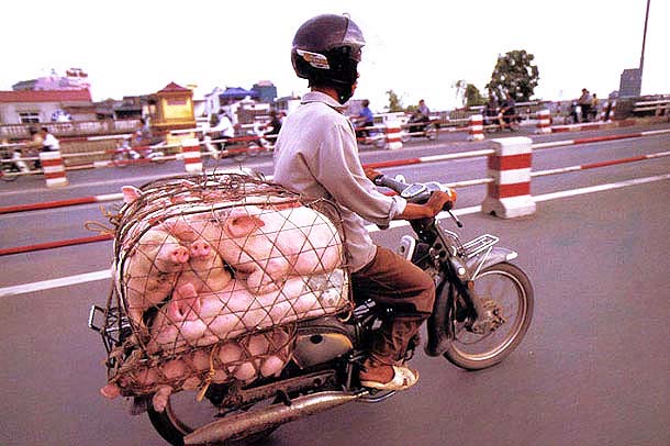 Overloaded-Vietnamese-Motorbikes-That-Defy-Logic-by-Photographer-Hans-Kemp-3