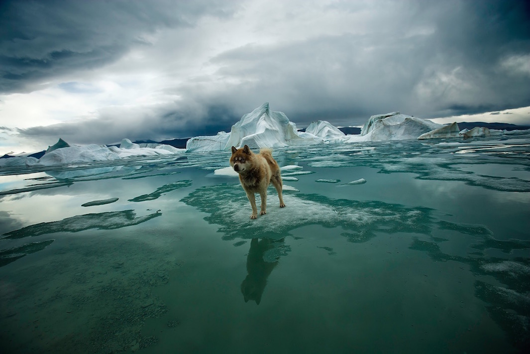 تصاویری از زیبایی و خطر در قطب شمال
