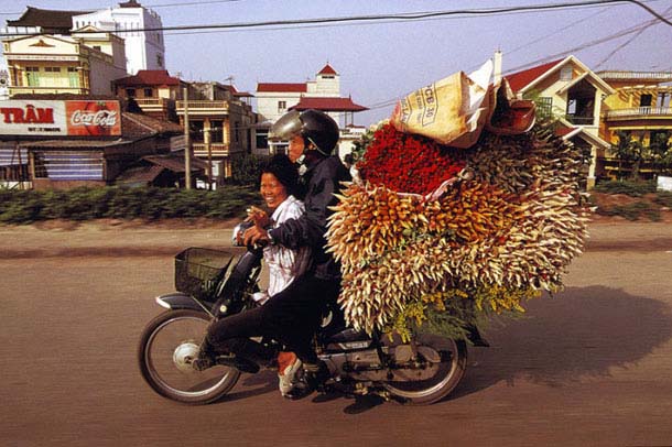 Overloaded-Vietnamese-Motorbikes-That-Defy-Logic-by-Photographer-Hans-Kemp-1